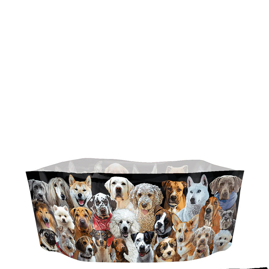 Modgy Dog Bowls