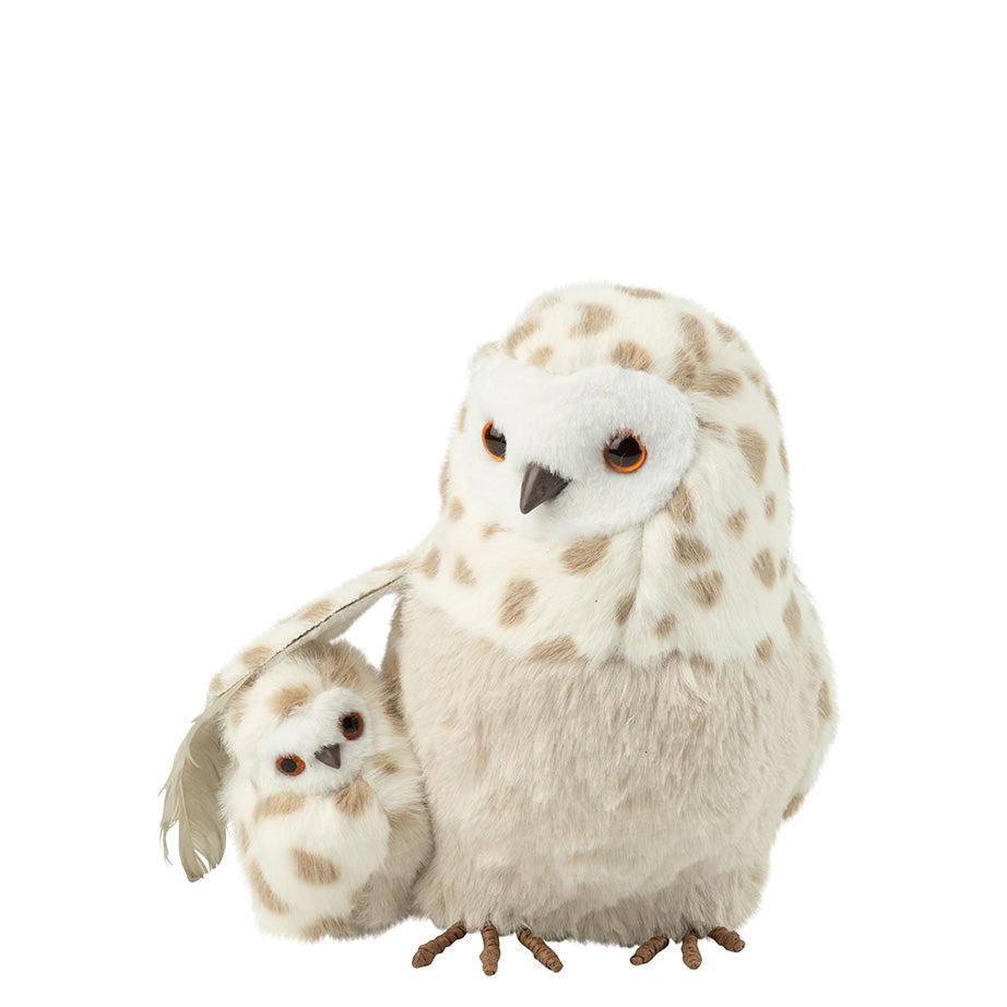 Snowy Owl and Owlet