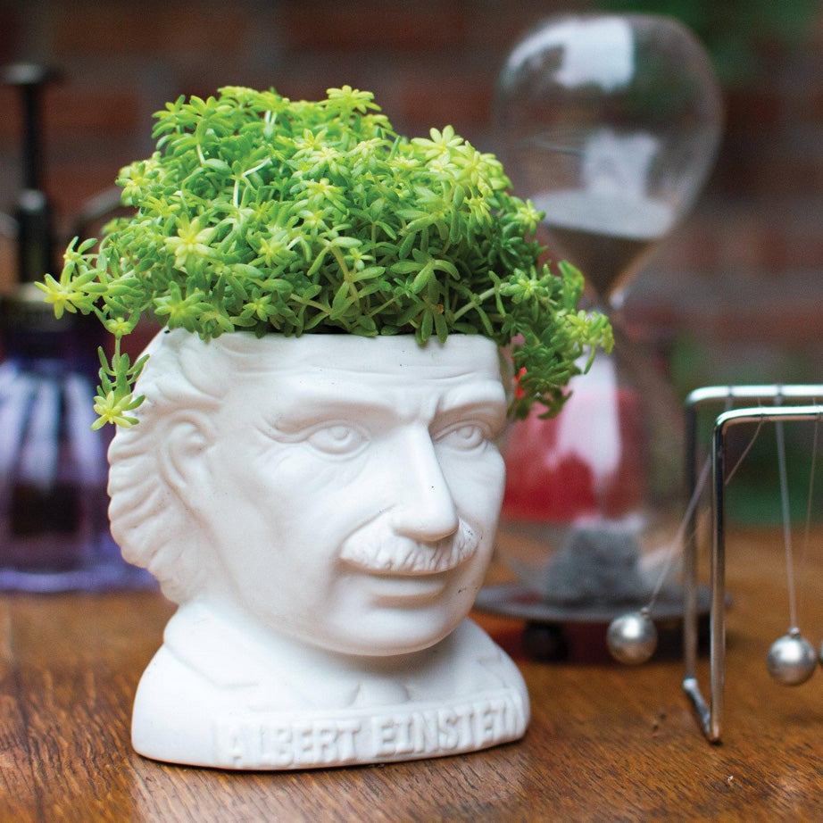 Fertile Minds Planters