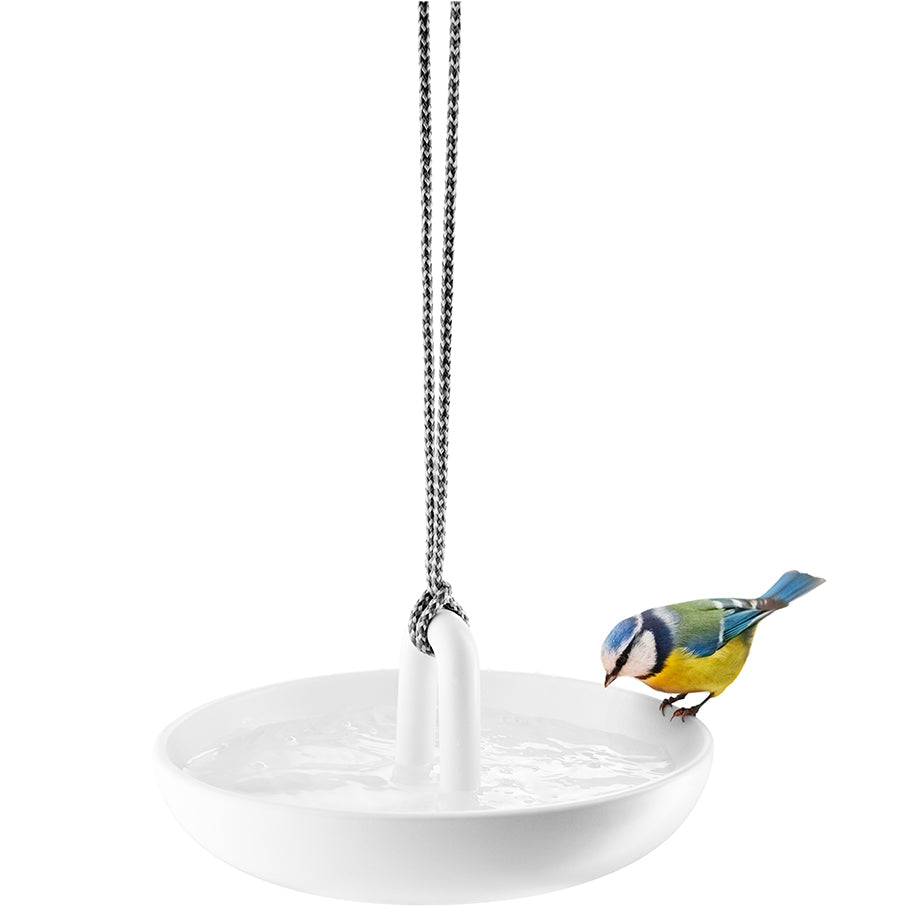 Hanging Bird Bath