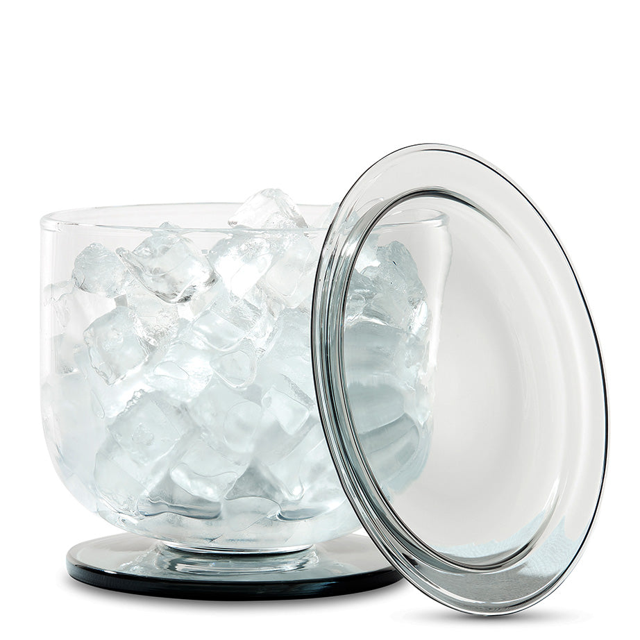 Glass best sale ice bucket